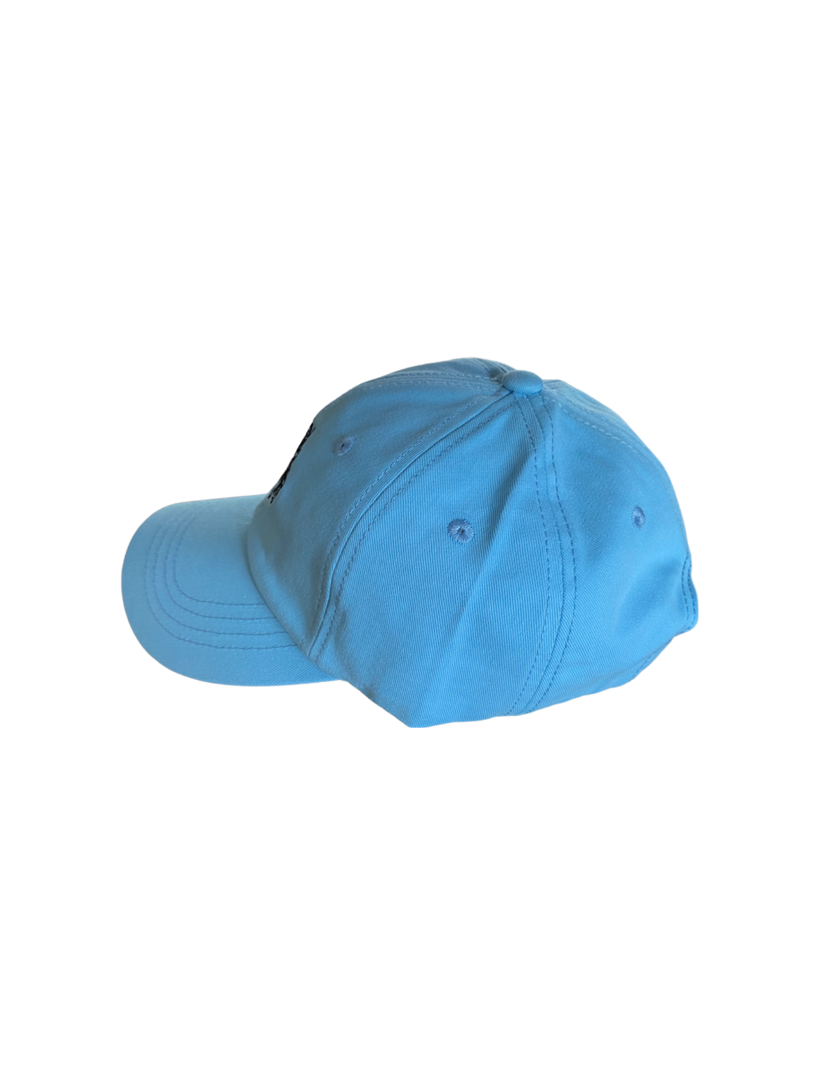 Taste of Freedom Blue Hat